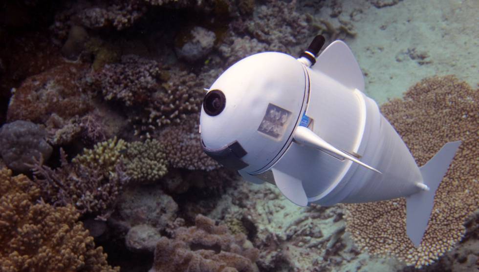 SoFi pez robot