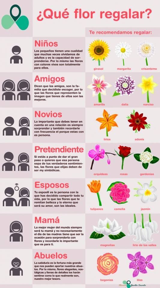 11 Plantas Para Purificar El Aire Dentro De Casa Cocina