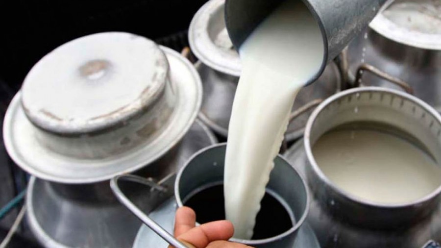 leche bronca jalisco