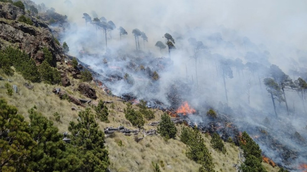 cofre de perote incendio