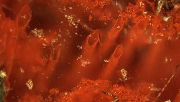 Tubos de hematita en las fumarolas hidrotermales