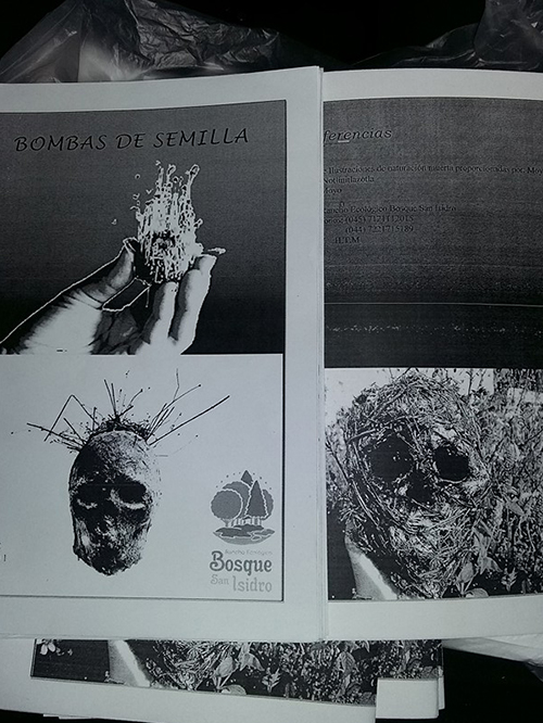 bombas de semilla2