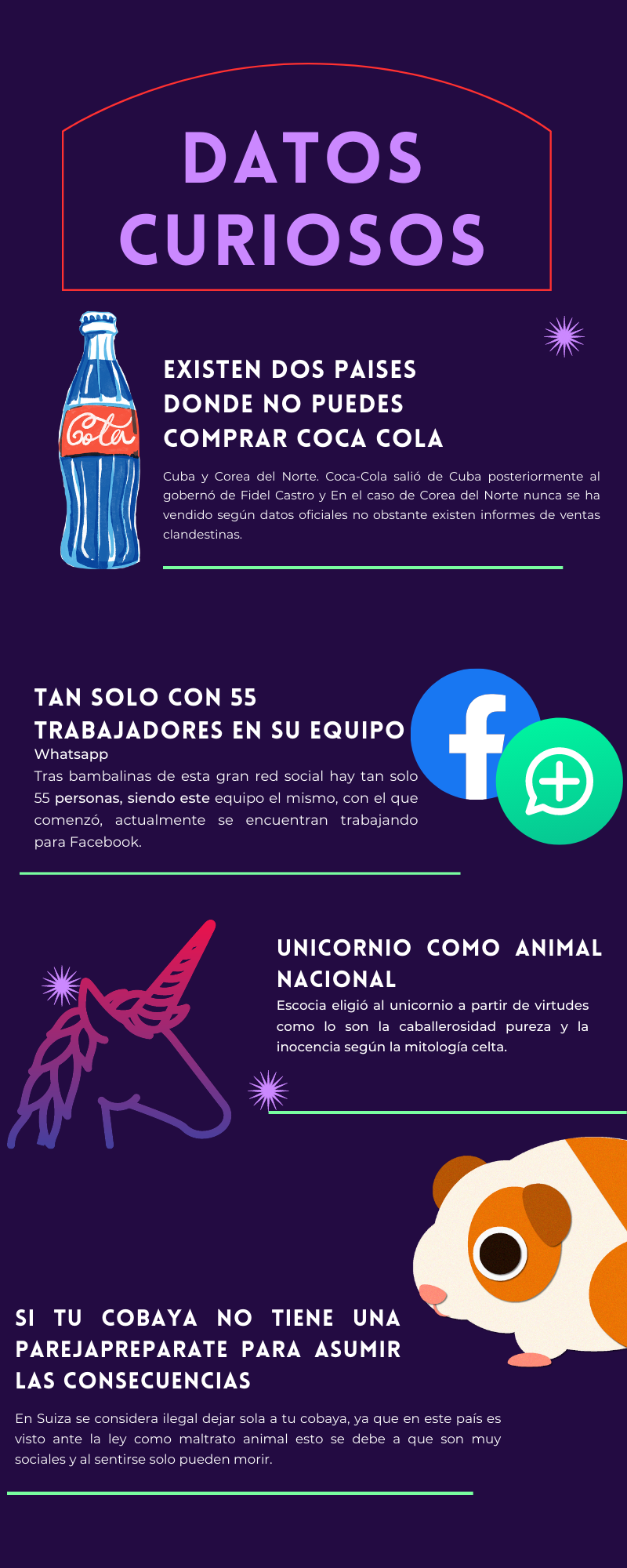 Indigo and Purple Lined Star Life Cycle Astronomy Infographic 