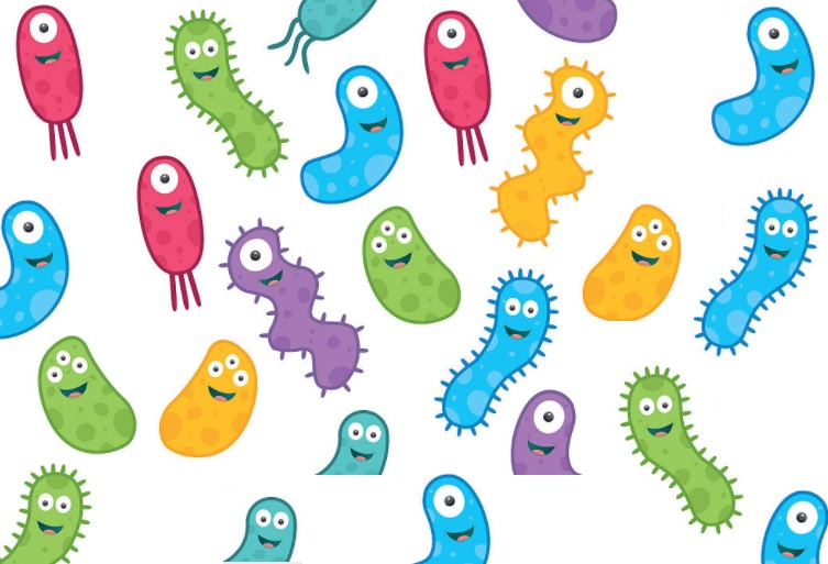 microbiota1
